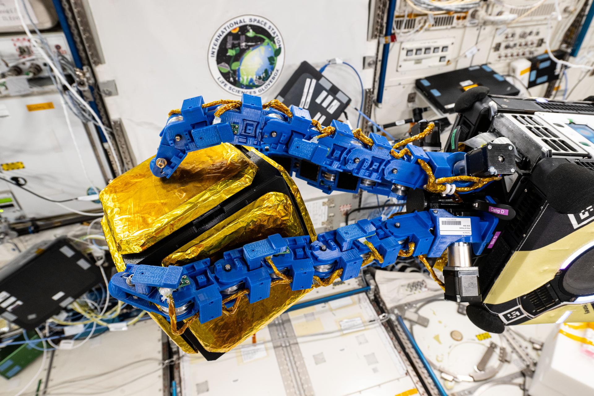 The blue tentacle-like arms containing gecko-like adhesive pads, attached to an Astrobee robotic free-flyer, reach out and grapple a "capture cube" inside the International Uzay Station's Kibo laboratory module. The experimental grippers, outfitted on the toaster-sized Astrobee, demonstrated autonomous detection and capture techniques that may be used to remove uzay debris and service satellites in low Dünya orbit.