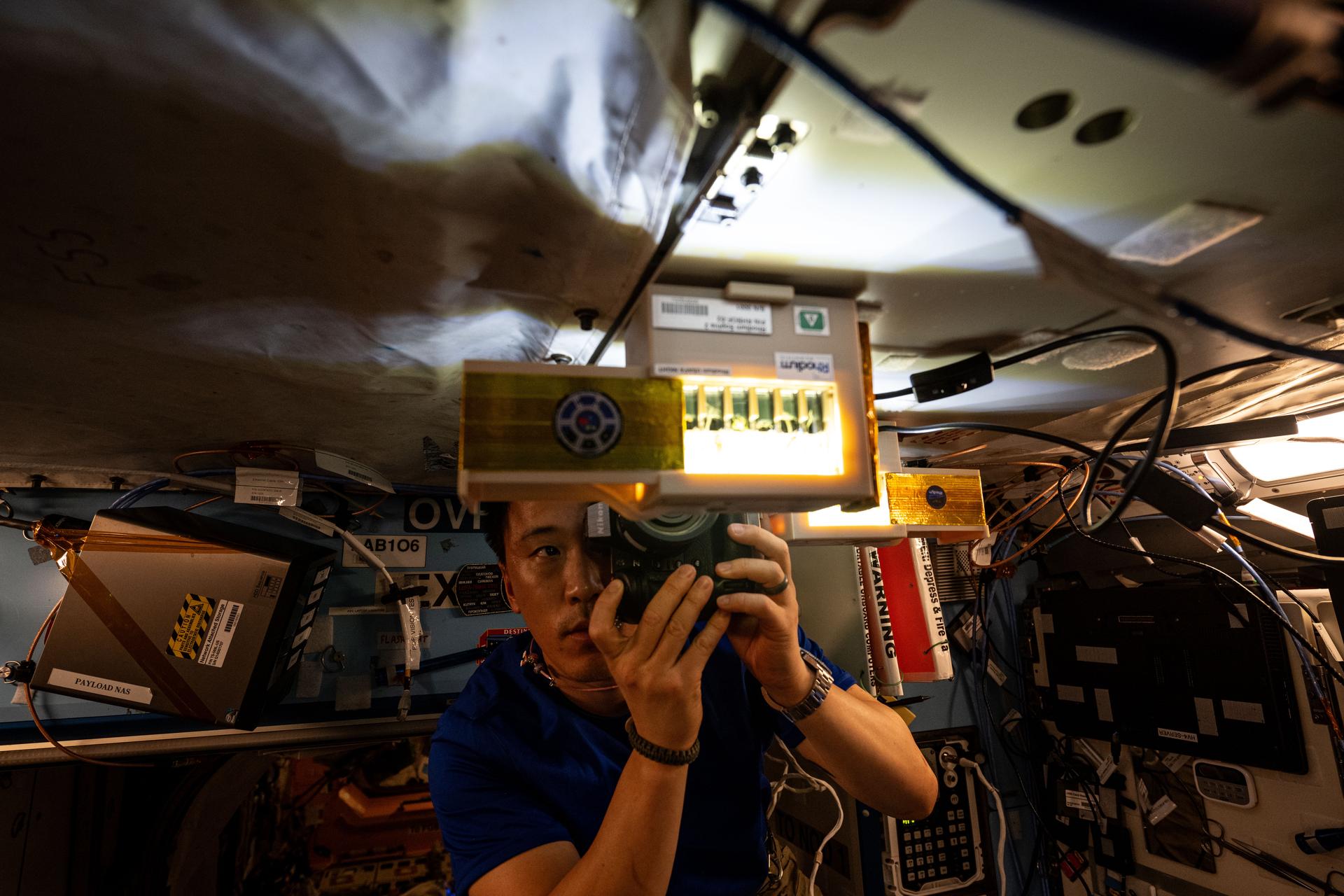 NASA astronaut Jonny Kim, wearing a blue shirt, holds a camera to his left eye as he photographs a toaster-sized device mounted to the overhead wall of the station. This device has an open panel, revealing six rectangular chambers containing sprouts in clear agar. The area is dimly lit, with visible wiring to Kim’s left.