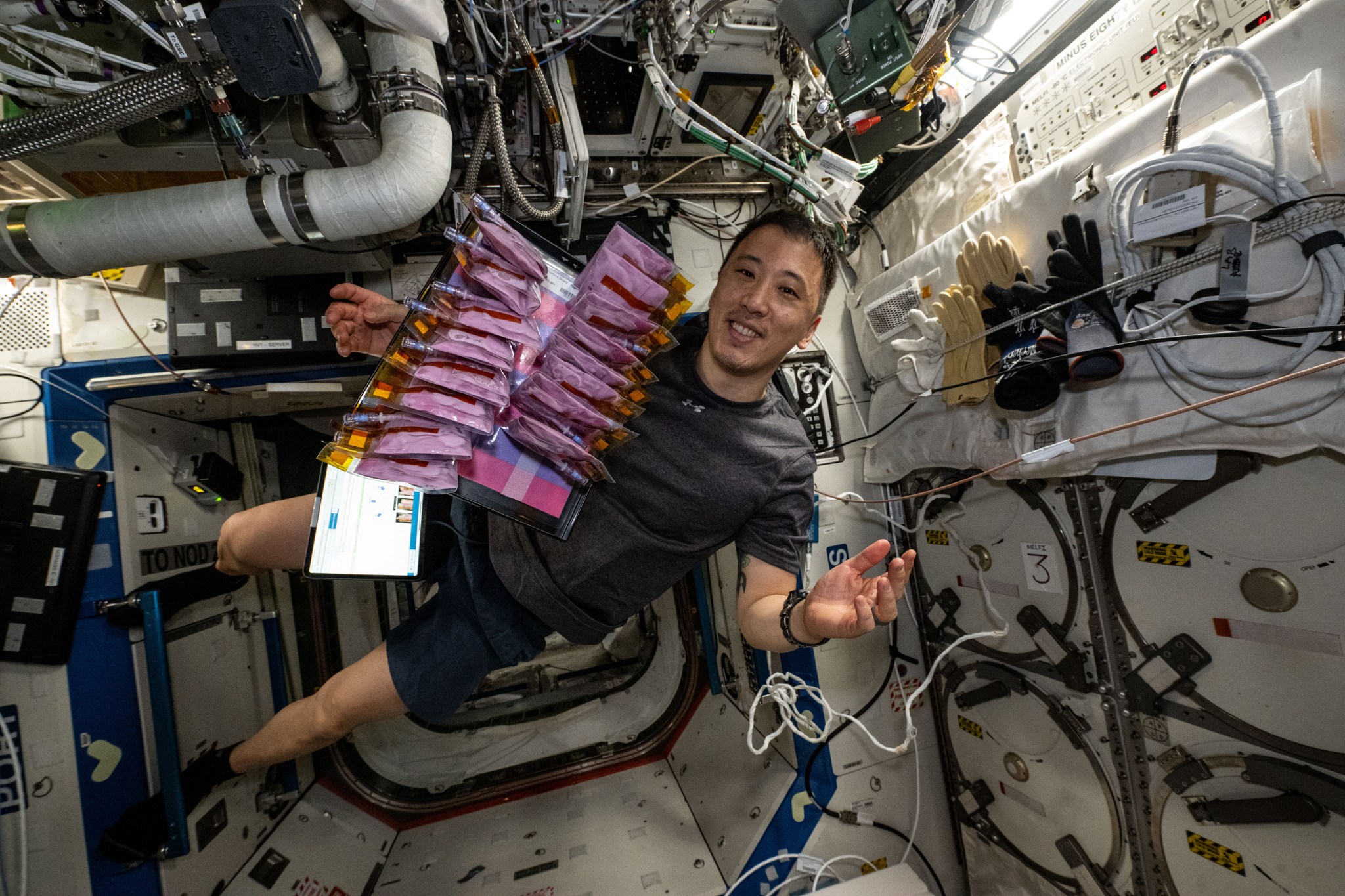NASA astronaut Jonny Kim, centered and smiling, wears a gray shirt, and black shorts as he floats in front of clear stacked bags filled with yogurt or kefir, which contain color-changing food dye. The walls are white, and a board holding gloves is to his left. Multiple wires and a tube run overhead.